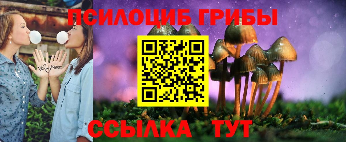 Псилоцибиновые грибы мухоморы Буйнакск
