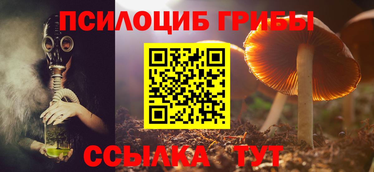 Псилоцибиновые грибы Cubensis  Вход с VPN  Галлюциногенные грибы MAGIC MUSHROOMS  Буйнакск 